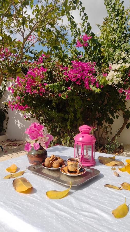 Henchir Ejdoud Guest House Kairouan Exterior photo