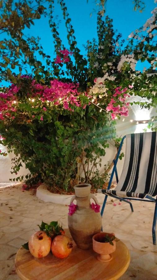 Henchir Ejdoud Guest House Kairouan Exterior photo
